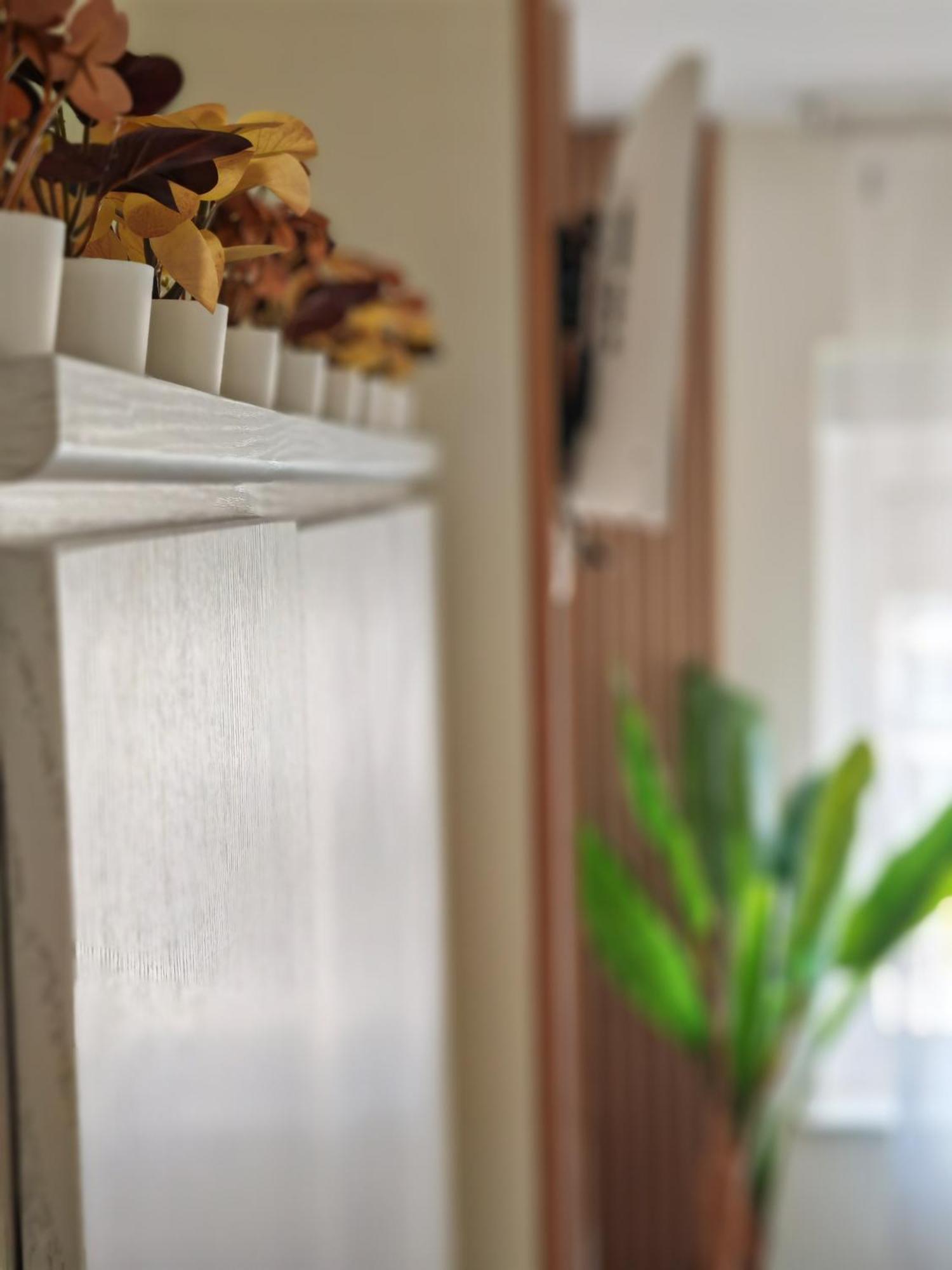 Apartamento Ladevesa Elche Ngoại thất bức ảnh